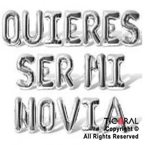 SET DE GLOBOS METALIZADO FRASE QUIERES SER MI NOVIA 17 UNIDADES PLATA X 1